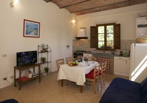 Farmhouse in Tuscany near Siena & Hot Springs