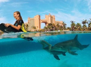 Harborside Atlantis Br Waterpark | Paradise Island