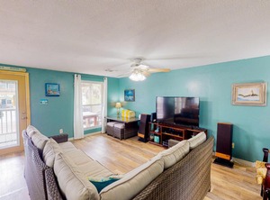 Royal Palm | Port Aransas