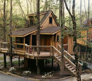 The Treehouse Grove At Norton Creek 