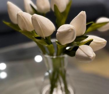 Baie-Mahault Apartment | Élégance