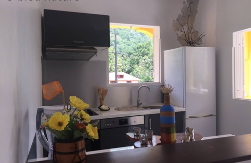 Pointe-Noire Cottage | Ô Fil de l'Eau: Gîte Ô Bleu Nature; mountain and river at Pointe-Noire, 2,4,6 pers