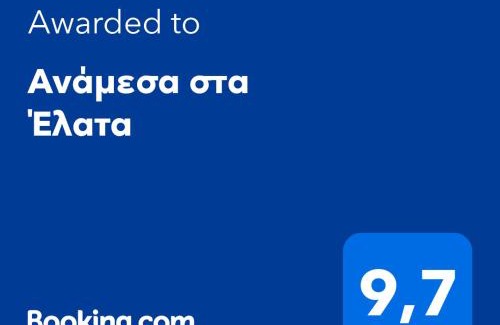 Egira House | Ανάμεσα στα Έλατα