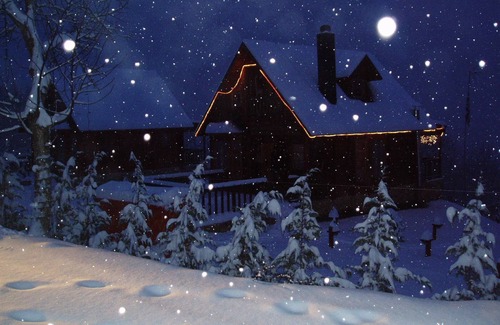 Karpenisi Ski Chalet | Ξύλινο Σαλέ 60 τετραγωνικα μεσα στο δασος σε 1000 υψόμετρο