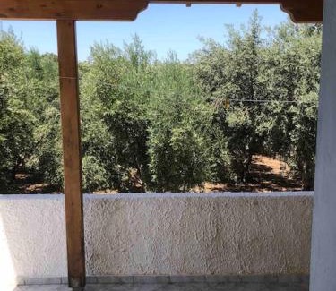 Volissos House | Σπιτάκι δίπλα στην θάλασσα!