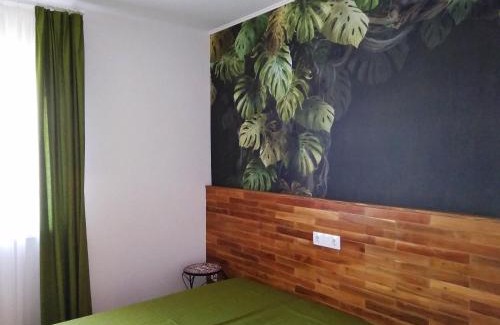 Heviz Apartment | апартаменты Sоlо