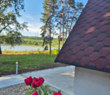 Lyaskovets House | Вили Янкови