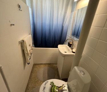 Naerum Apartment | Однокімнатна квартира