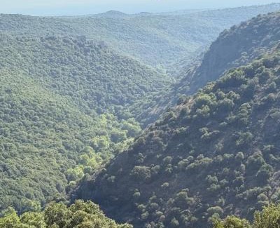 Goren House | בלב הגורן belevhagoren