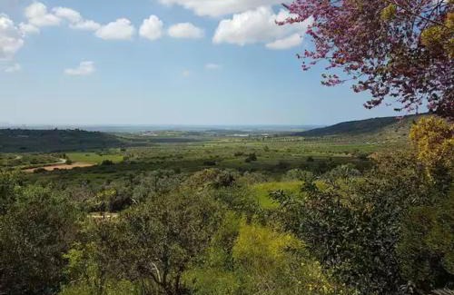 Klil Apartment | כליל השחר - יחידה זוגית קסומה עם בריכה פרטית