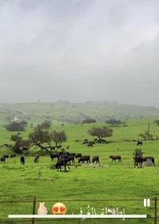 Dhofar Governorate Villa | إطلاله جرثونوت