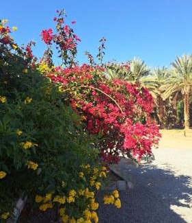 Western Province Resort | استراحة البستان الريفي