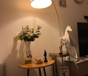 Shaqra Apartment | اســتديو فـــخمة