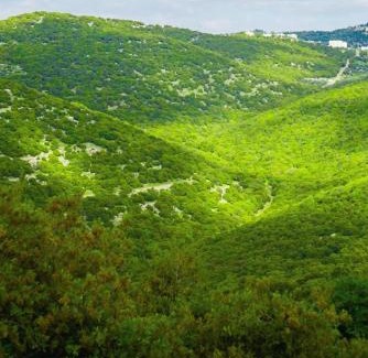 Jordan Bed & Breakfast | اكواخ الهدهد