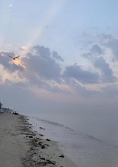 Yanbu Apartment | شقة فندقية