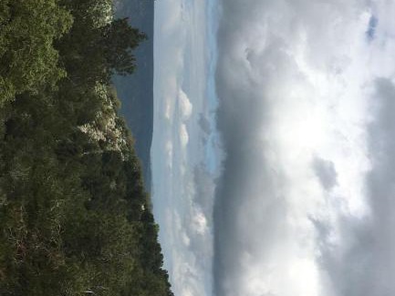 Umm Qais Apartment | عمارة ام قيس الاثرية السياحية