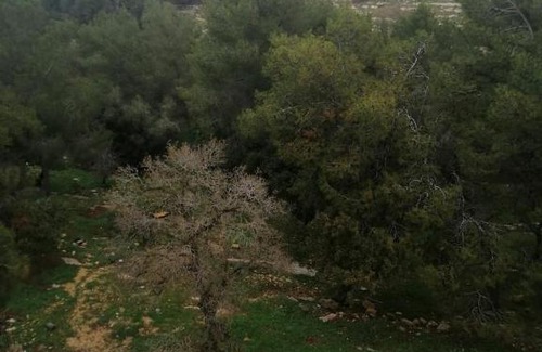 Umm Qais Apartment | عمارة ام قيس الاثرية السياحية