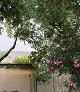 Sakaka Ski Chalet | منتجع أمور