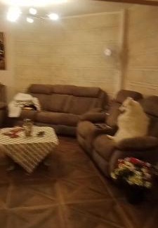 New Cairo House | منطقه ٥١ اسكان الجامعه الامريكيه
