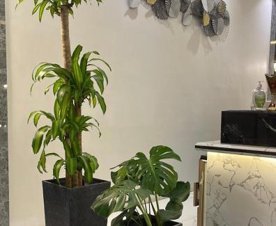 Al Duwadimi Apartment | نوفل للشقق المخدومة