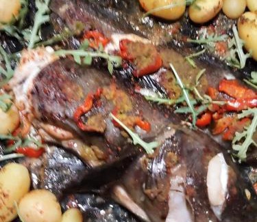 Umm Qais Ski Chalet | هيوم شليت