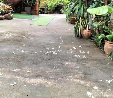 Mueang Nga House | ต้งโฮมหละปูน