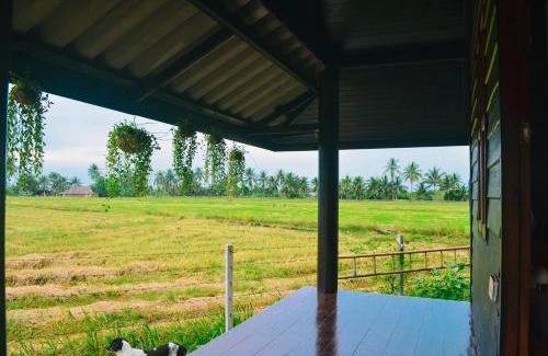 Suan Som House | ทรัพย์ในดิน ฟาร์มสเตย์