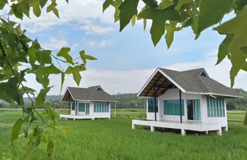 Chiang Dao House | บ้านผ่อดอยกอยดาวพรีเมี่ยม
