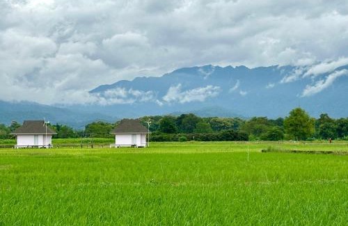 Chiang Dao House | บ้านผ่อดอยกอยดาวพรีเมี่ยม