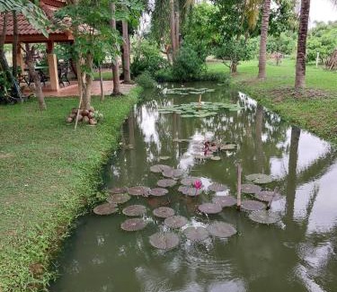 Pa Sang House | บ้านสวนนะราโต