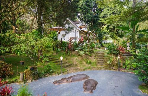 Doi Saket House | ปางสูงเฮาส์ Blue mini House
