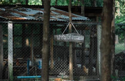 Nam Pat House | พายิ้มฟาร์ม