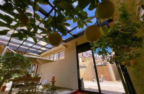 Shangri-La House | 云硕客栈