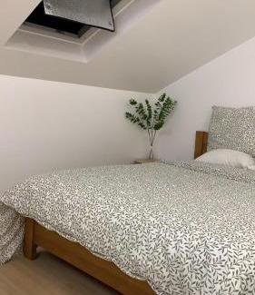 Vitry-sur-Seine House | 奥利机场 卢浮宫 艾菲尔铁塔 巴黎圣母院