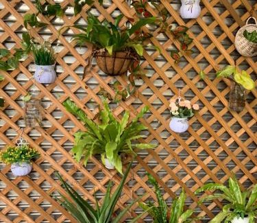 Miaoli House | 安禾居 AnHeJu B&B