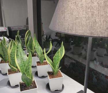 Xitun District Apartment | 日出逢甲