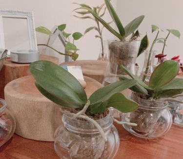 Xitun District Apartment | 日出逢甲