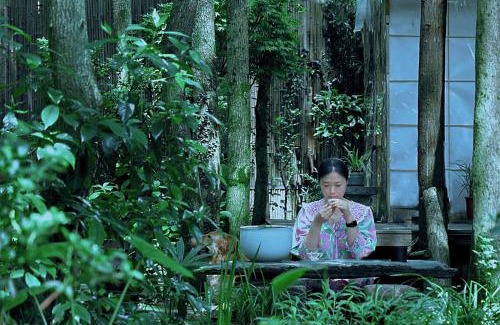 Changjiang County House | 景德镇树园心舍民宿JDZ Forest Haven B&B