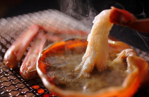 Kyotango Hotel | 間人温泉 炭平