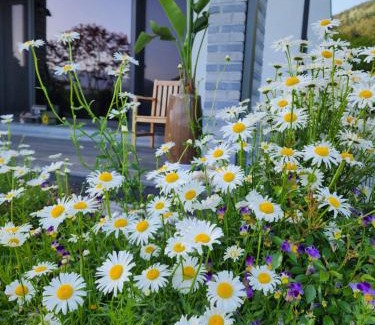 Gurye House | 구례 아진이뜰 별관