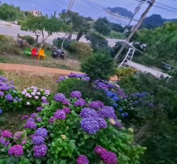 Soyu Apartment | 뜰안정원