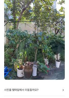 Dapsimni-dong House | 마당이 넓은 Oak Tree House