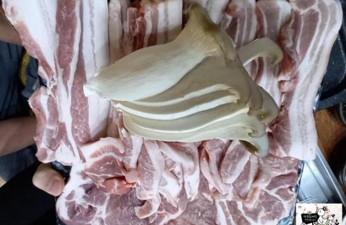 Sehwa-ri House | 철없는펜션