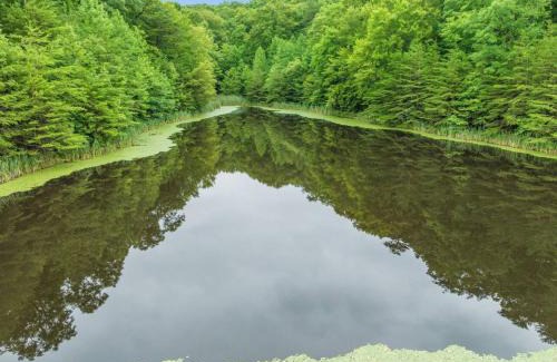 Clay City House | 1 600 Acres Pool Pond Hidden Treasure RRG