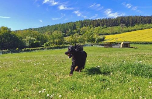 Aconbury House | 1 Bed in Hereford 81293