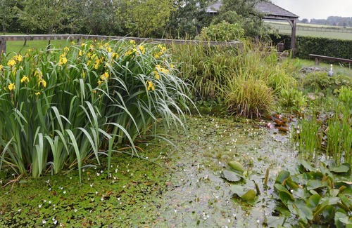 Low Catton Cottage | 1 bedroom accommodation in Holtby, near York
