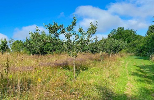 Summercourt Cottage | 1 bedroom accommodation in Summercourt, near Newquay