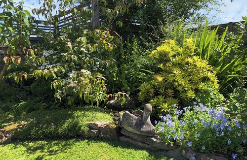 Balfron Cottage | 1 bedroom accommodation in Balfron, near Drymen Loch Lomond & The Trossachs