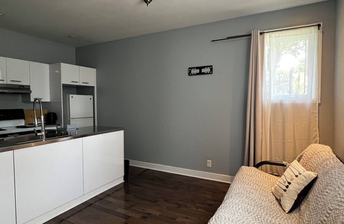 Sainte-Marie Condo | 1 Bedroom Apartment at Le Plateau-Mont-Royal. 10 mins to the Downtown Area.