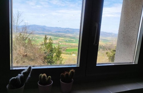 Santa Reparata Apartment | 1 Bedroom Apartment in Citerna